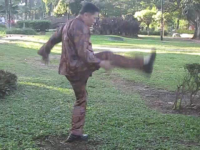 Wu Chuan You Style Taijiquan